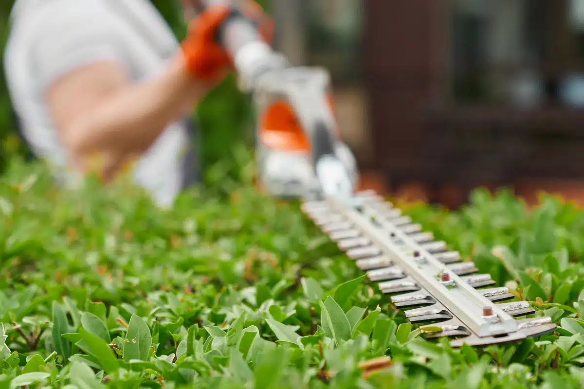services-landscape-maintenance